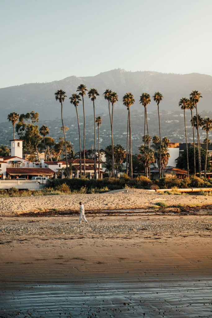 Santa Barbara coastline and palm trees