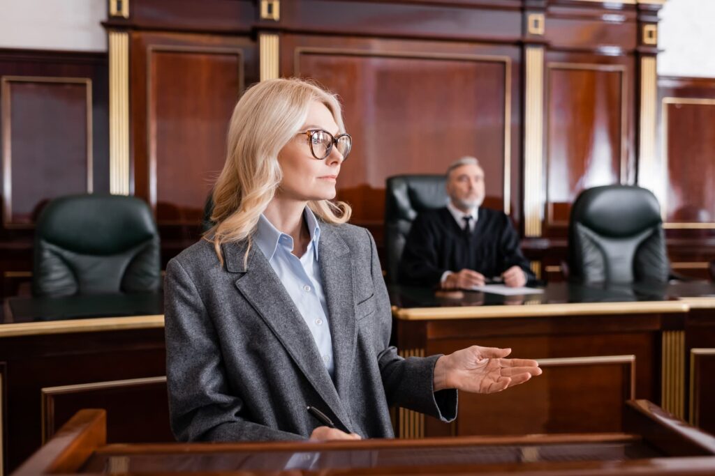 lawyer in court